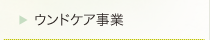 ウンドケア事業